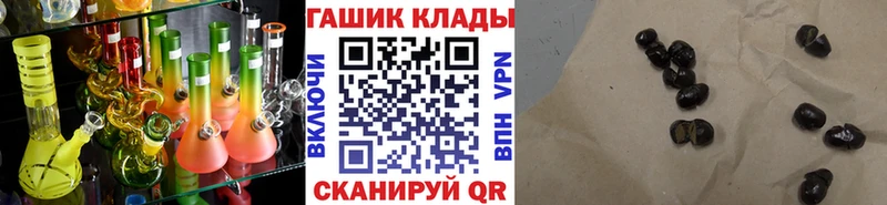 ГАШ Красный Сулин